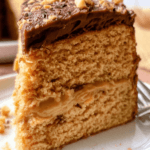 Peanut Butter Cake with Rich Chocolate Frosting